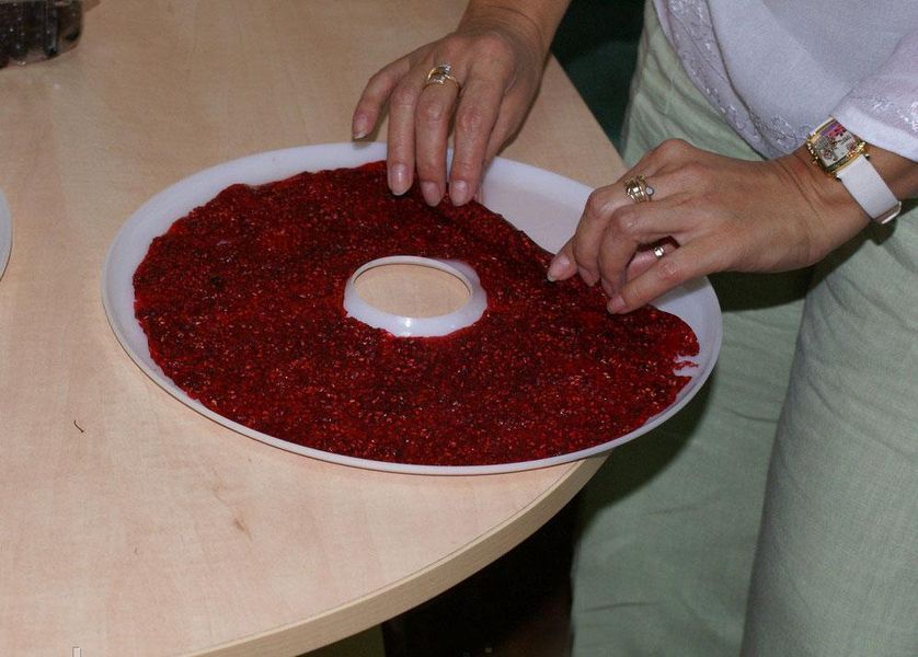 Комплект плотных поддонов лотков для пастилы Беломо Ветерок Ротор Чудесница (3 шт) 81582 фото
