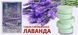 Средство от моли ароматизированное в таблетках "Лаванда", 4 таблетки 87650 фото 2