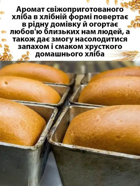 Набір литих алюмінієвих форм для випікання хліба та батону Л7 &laquo;Цеглинка&raquo; та &laquo;Кам'янецька&raquo;, 2 шт. 88532 фото