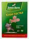 Клейова пастка для мишей та щурів Jet Super, 12&times;17 см 87581 фото 1